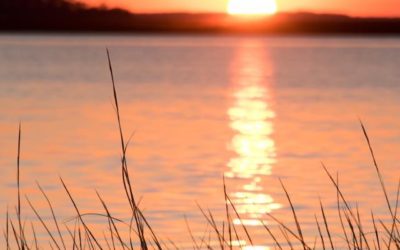 Fall Sunsets in Savannah Georgia