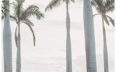 Hacienda Pinilla Family Photos – Boyle Family